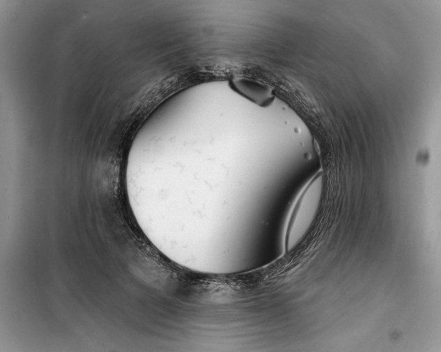 X0000099500697200805291128