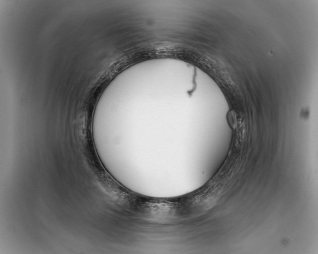 X0000099500698200805291128