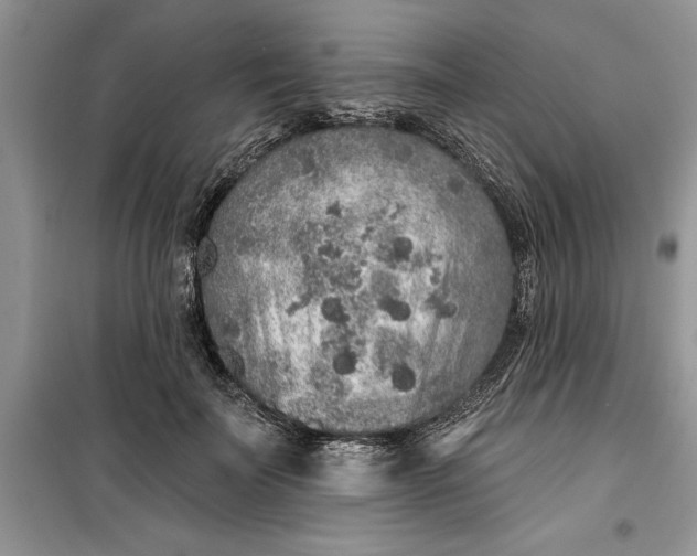 X0000099500699200805291128