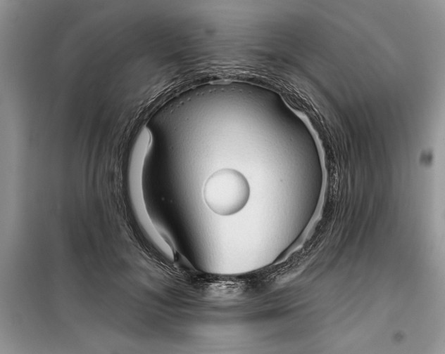 X0000099500700200805291128