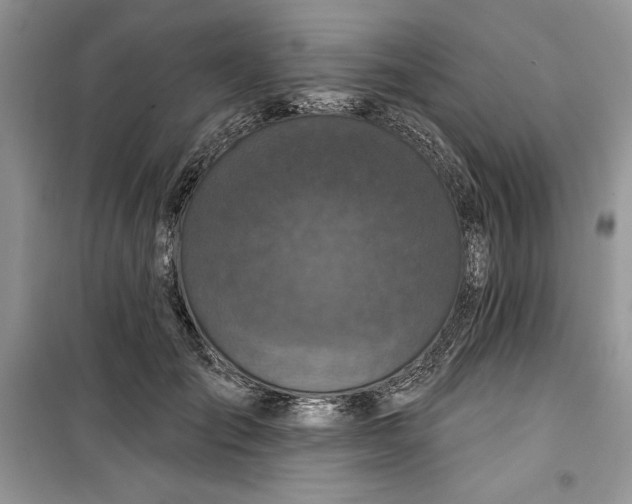 X0000099500701200805291128