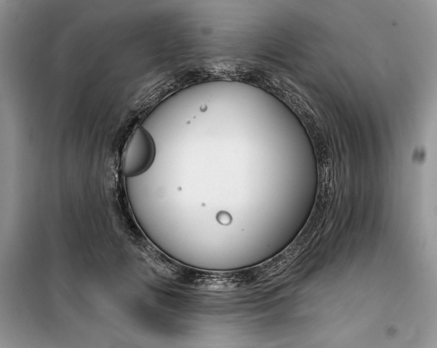 X0000099500702200805291128