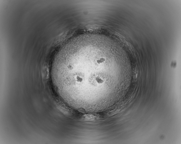 X0000099500703200805291128