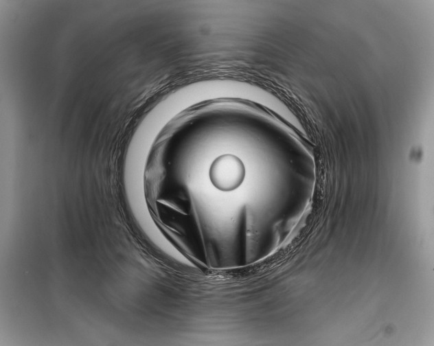 X0000099500704200805291128