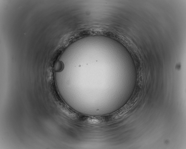 X0000099500706200805291128