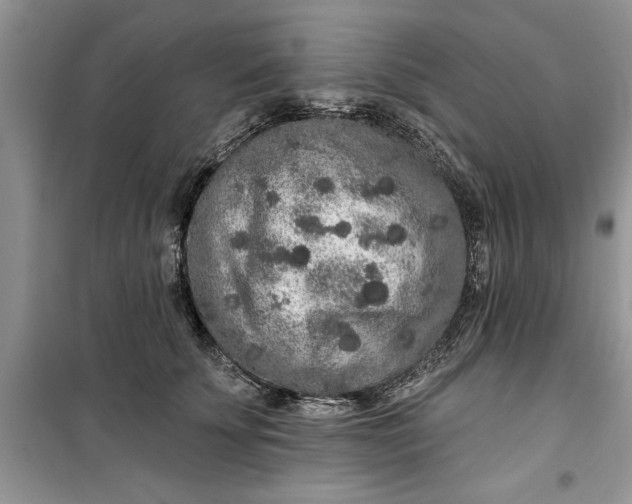 X0000099500707200805291128