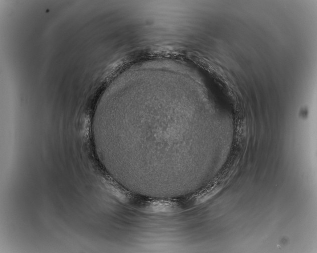 X0000099500708200805291128