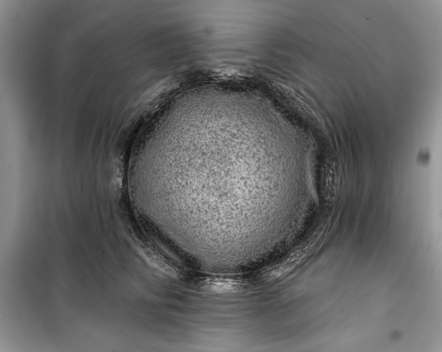 X0000099500710200805291128