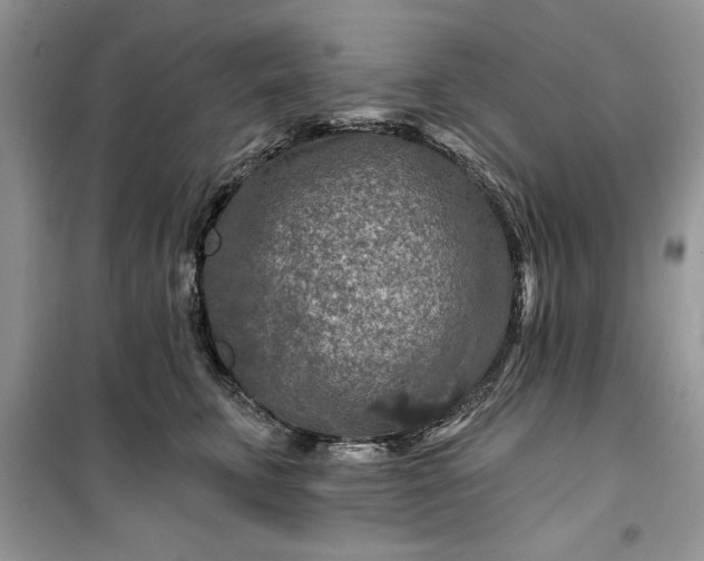 X0000099500711200805291128