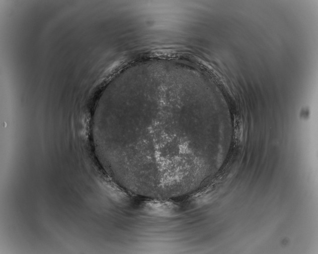 X0000099500712200805291128