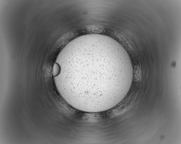 X0000099500713200805291128