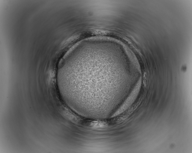 X0000099500714200805291128