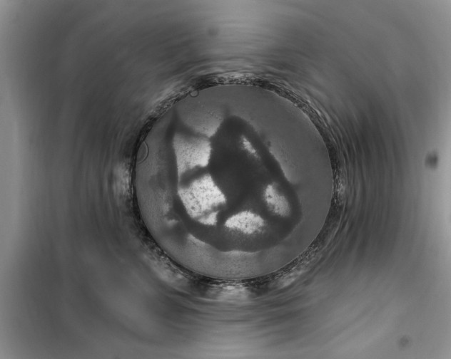 X0000099500715200805291128