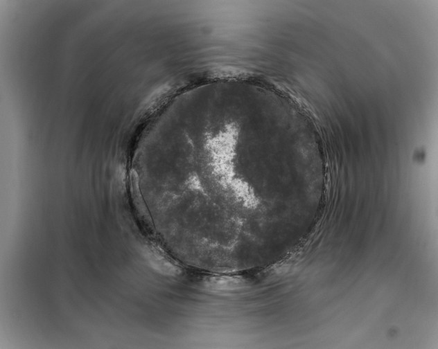 X0000099500716200805291128