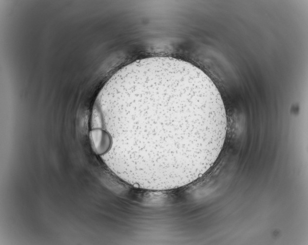 X0000099500717200805291128