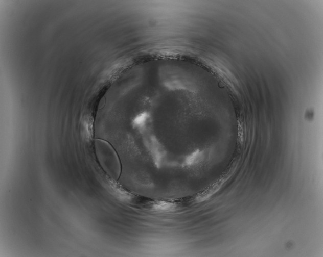 X0000099500718200805291128