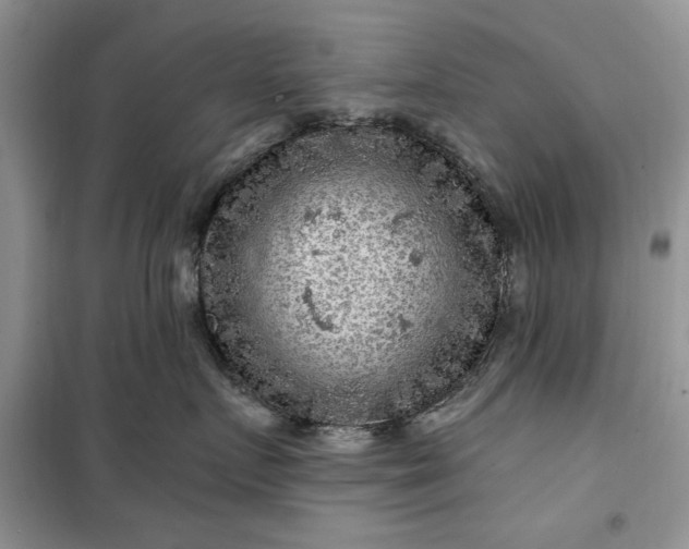 X0000099500719200805291128