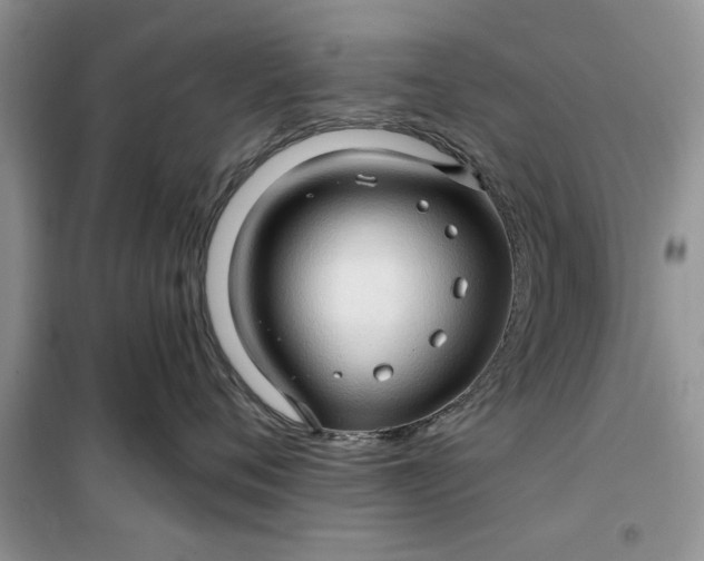 X0000099500720200805291128