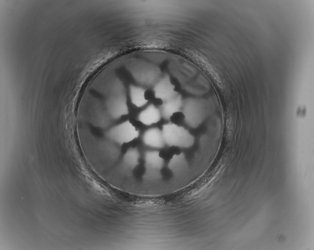 X0000099500721200805291127