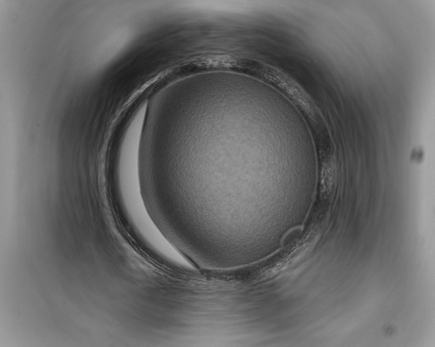 X0000099500722200805291127