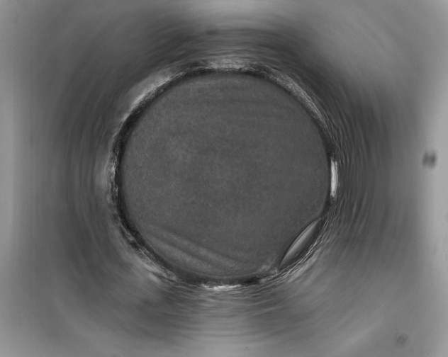 X0000099500723200805291127