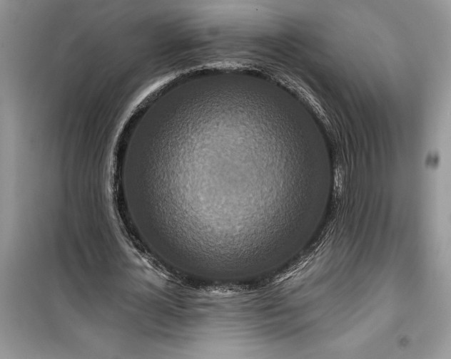 X0000099500724200805291127