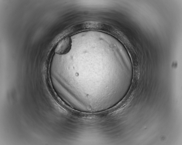 X0000099500725200805291127