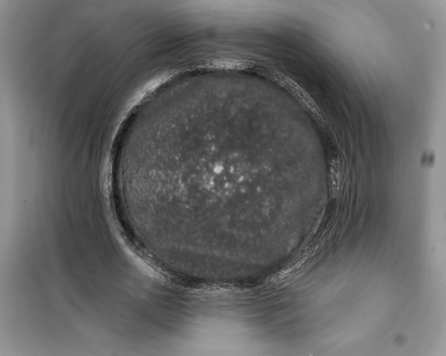 X0000099500726200805291127