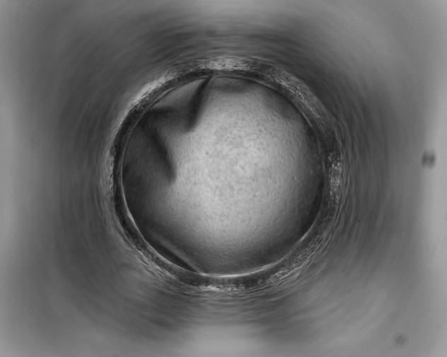 X0000099500727200805291127