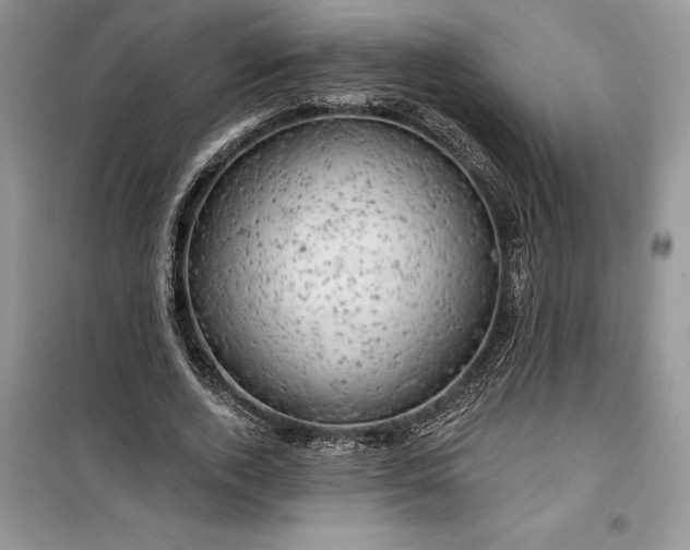 X0000099500728200805291127