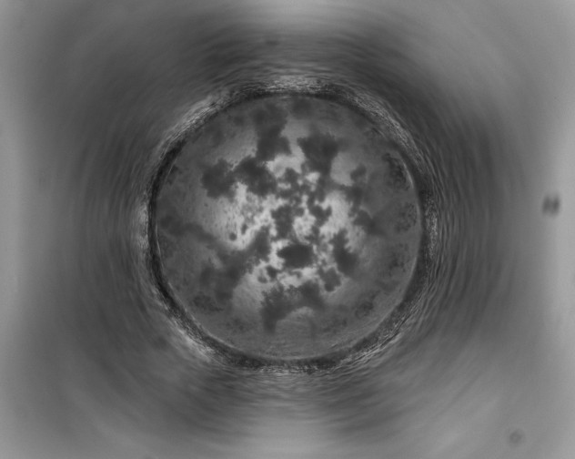 X0000099500729200805291127