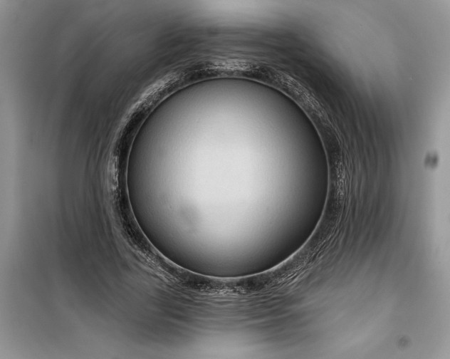 X0000099500731200805291127