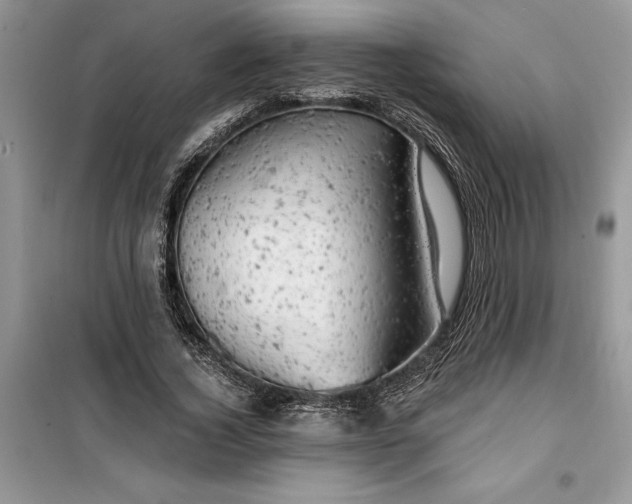 X0000099500732200805291127