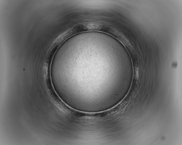 X0000099500733200805291128