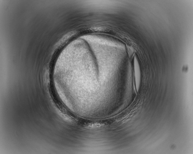 X0000099500734200805291128