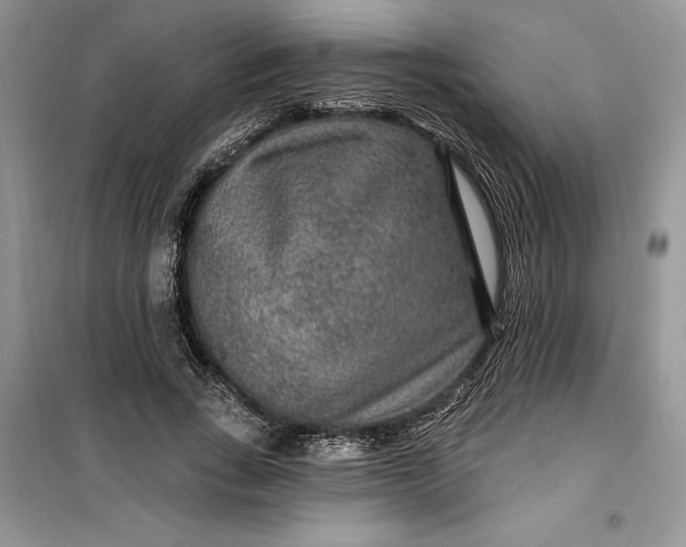 X0000099500735200805291128