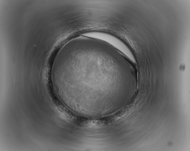 X0000099500736200805291128