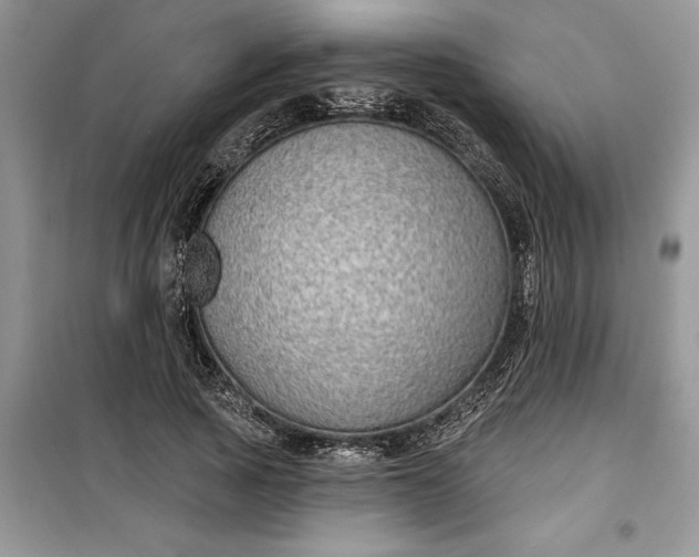 X0000099500737200805291128