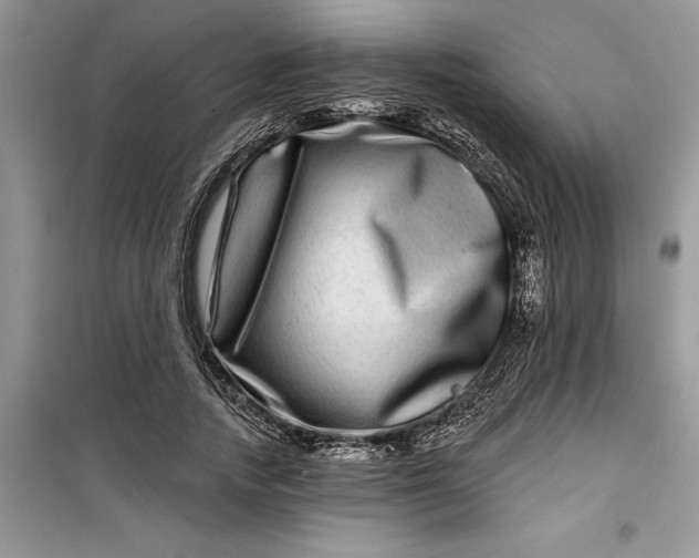 X0000099500738200805291128