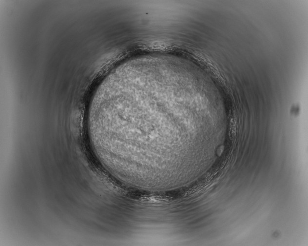 X0000099500739200805291128