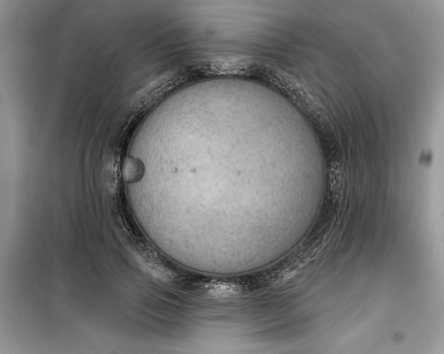 X0000099500741200805291128