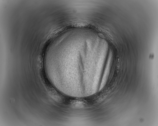 X0000099500743200805291128