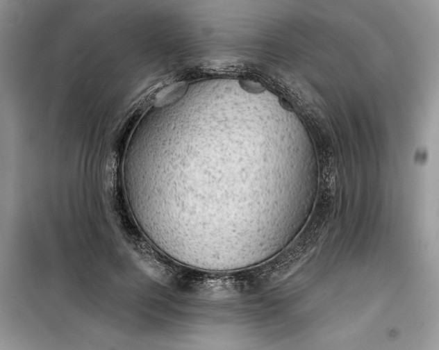 X0000099500744200805291128