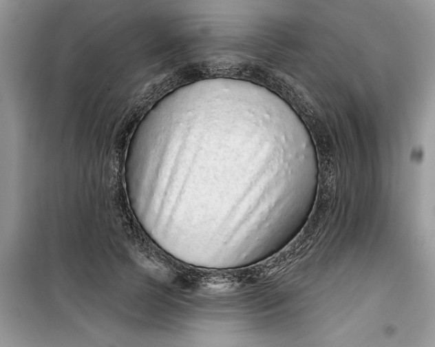 X0000099500745200805291128