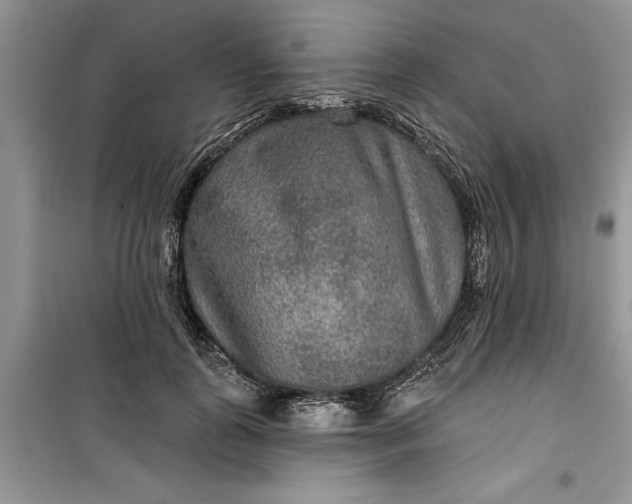 X0000099500747200805291128