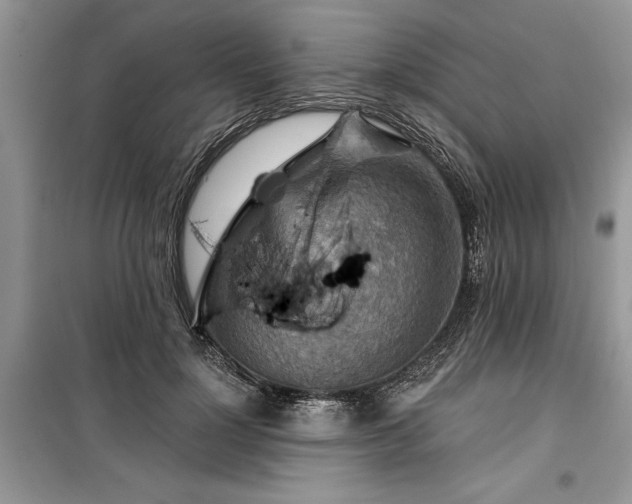 X0000099500748200805291128