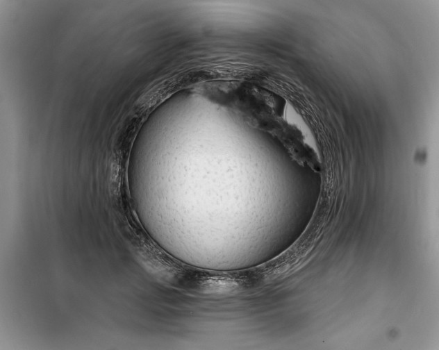 X0000099500749200805291128