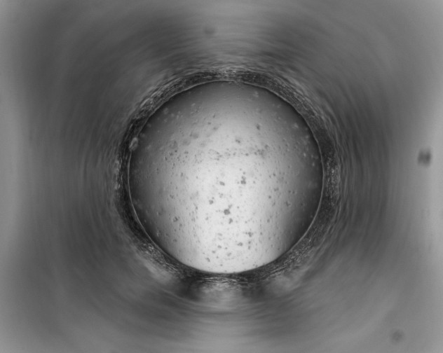 X0000099500750200805291128