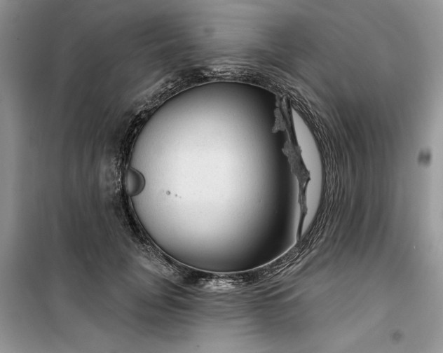 X0000099500751200805291128