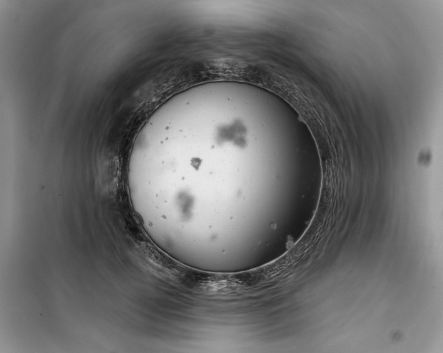 X0000099500752200805291128